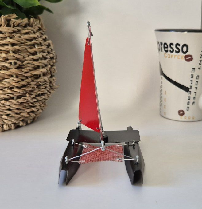 Bateau miniature de type catamaran