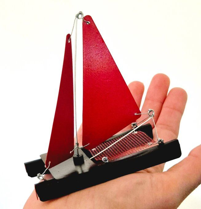 Bateau miniature de type catamaran